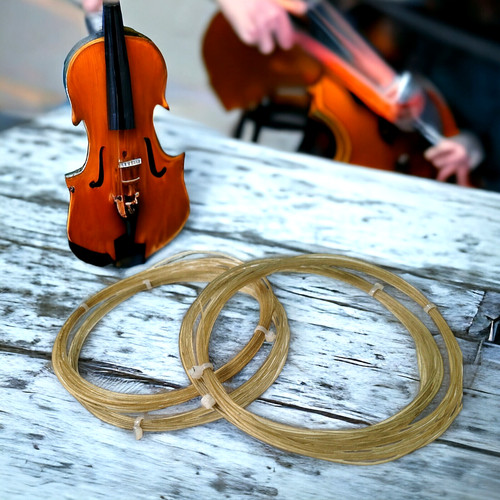 Cello c traditional - g,