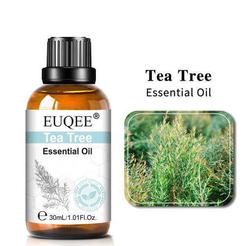 30ml fragrance oil - fragrance, vanilla