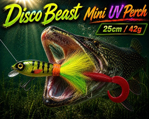 Pike fishing - pike,