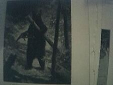 1890 book picture a brown bear caught with a pole trap