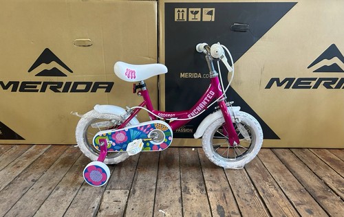 Concept girls bike enchanted - girls,