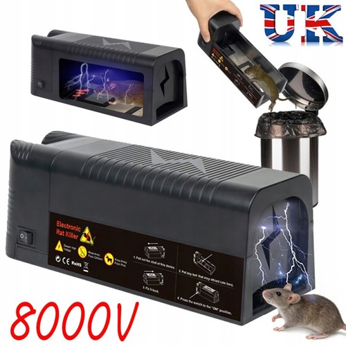 Electronic mouse trap mice - trap, rat