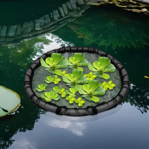 Floating pond plant - floating,