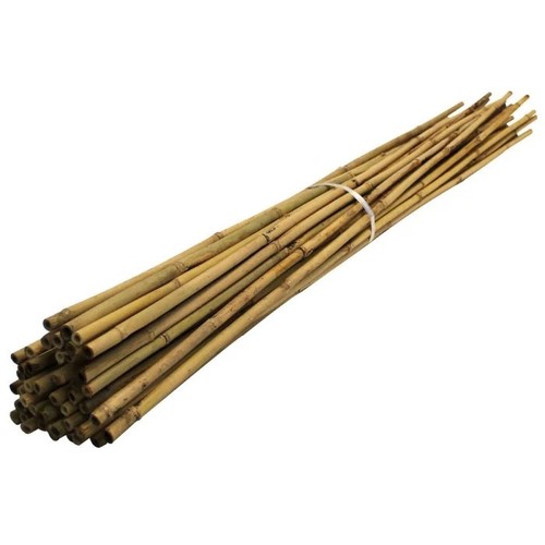 250x 4ft heavy duty - 4ft, bamboo