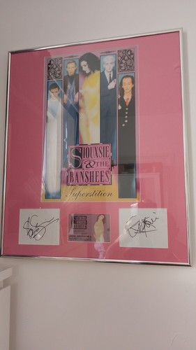 Siouxsie and the - , banshees