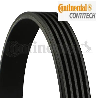 Ribbed belt fits for - belt,