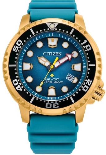 Gold tone citizen - gold-tone,
