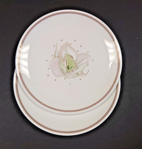 Susie cooper orchid taupe - cooper,