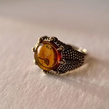 SNAIL in amber ring fossil / adjustable silver 925 / 99 million year old healing