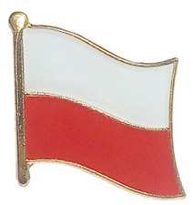 Poland flag badge Polish lapel pin high quality 3D gold plated alloy