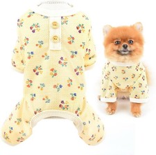 SMALLLEE_LUCKY_STORE Small Dog