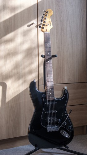 Fender stratocaster standard - fender,