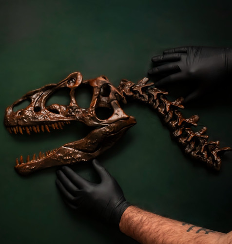 Allosaurus skull wall - allosaurus, art