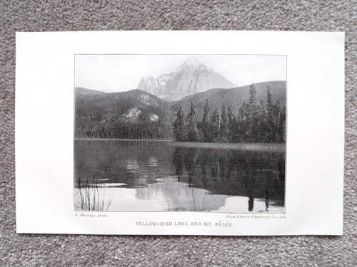 Yellowhead lake and mount - lake,