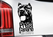 Presa Canario - Dog Car Window