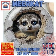 Cute Meerkat Glass Domed
