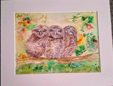 Owl Chicks cute Watercolour