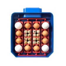 Borotto lumia automatic egg - borotto, 16
