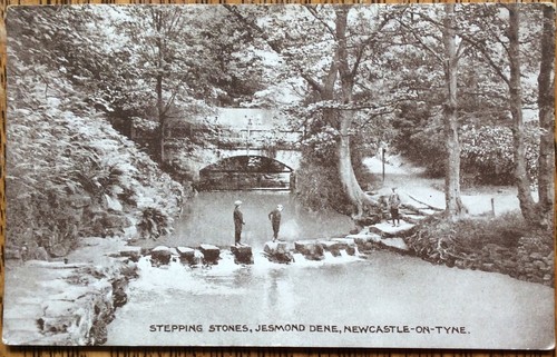 Newcastle tyne stepping - newcastle,