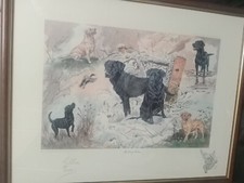 Gillian Harris Ltd Edition Print ‘ANTICIPATION’ 252/850 Framed