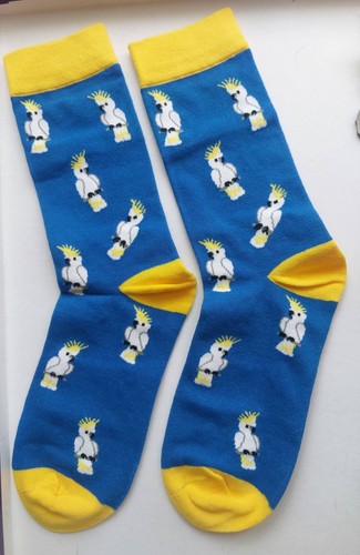 Novelty cockatoo socks white - novelty,