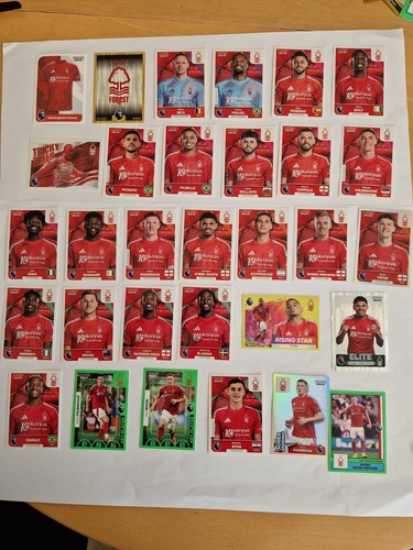 Panini premier league 2025 - premier,
