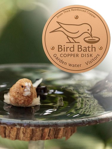 Bird bath copper - copper, disk