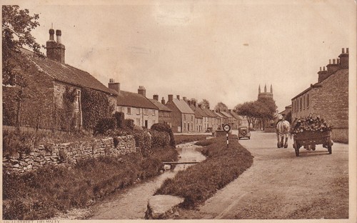 Helmsley shire horses - helmsley, pc