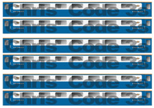 Adhesive Vinyl Coach Decal N