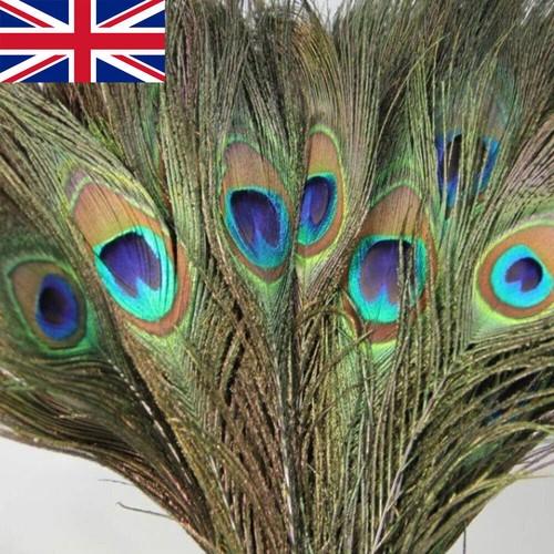 10pcs peacock tail feathers - peacock,