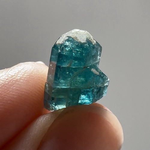 Rare gem neon - rare,