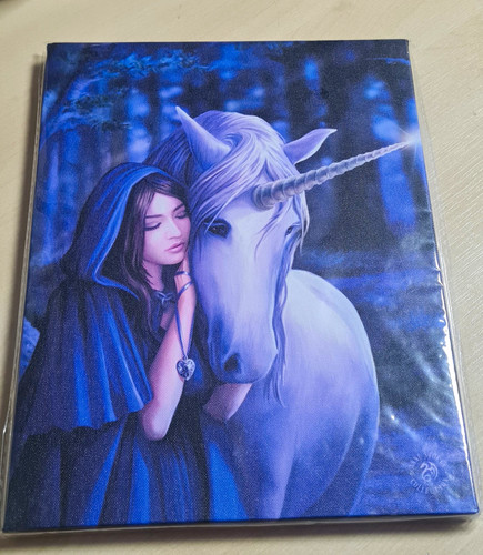 Solace canvas print - canvas,