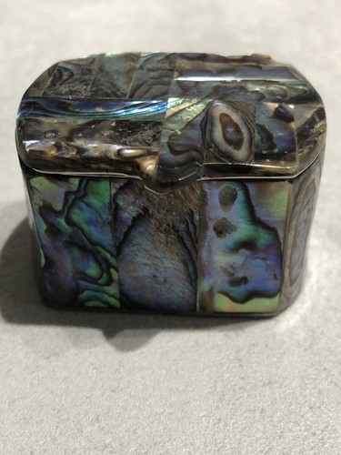 Multi colour paua abalone - multi,