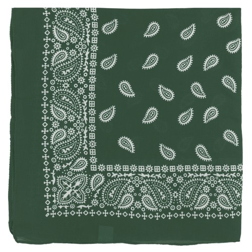 Extra large paisley - extra,