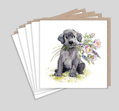 Labrador puppy notelets 5 - -,