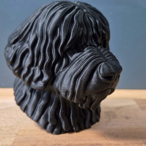 Komondor dog bust - komondor,