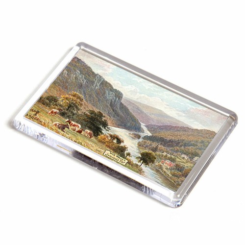 Fridge magnet vintage - magnet,
