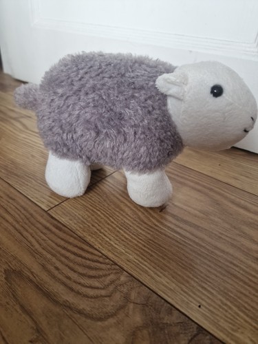 Herdy lake district grey sheep - lake,