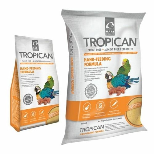 Hari tropican hand - hari, feeding