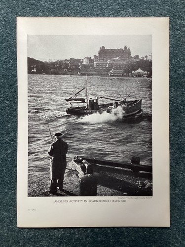 Fishing angling in - angling,