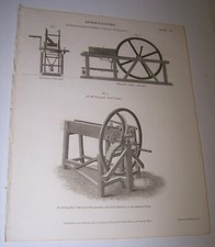 Antique Engraving Salmon's