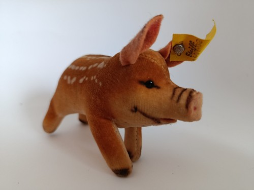 Vintage steiff young boar - vintage,
