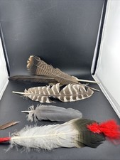 Native Indian American Feather