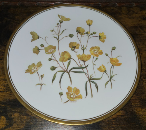 Spode buttercup wild flowers - spode,