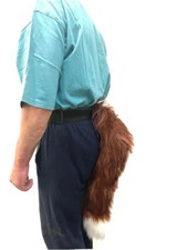 Cunning Fantastic Red Fox