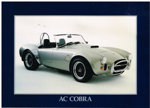 Cobra 302 with ford 5 - 302, 5.0