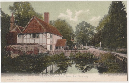 Newtown water and swan - water,