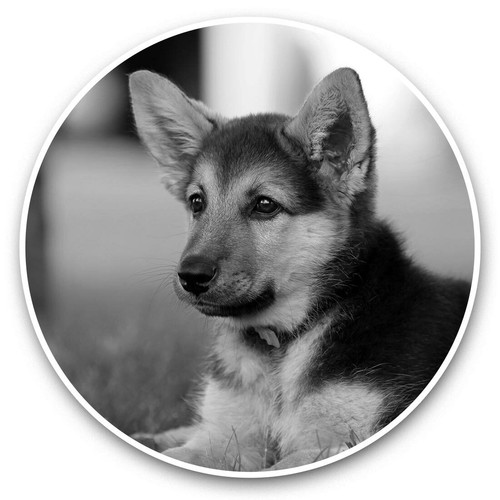 Vinyl stickers 15cm - x, (bw)