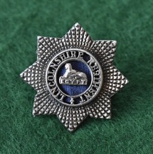 The Volunteer Battalions