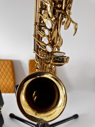 Trevor james alto saxophone - trevor,
